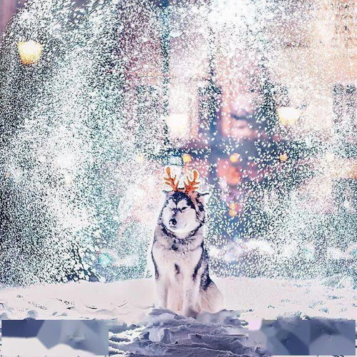 天呐这三位摄影师拍的雪景图片也太好看了