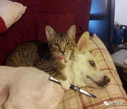  三编丨没想到小时候看的动画片现在想想真是太奇怪的了