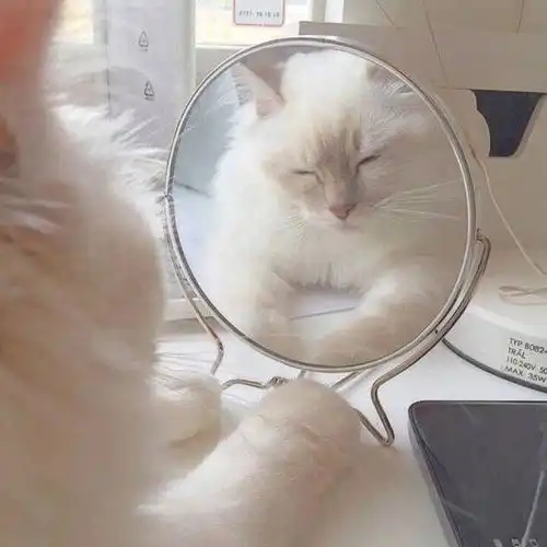  深圳我主良缘别被爱情冲昏头脑,这些问题要慎重对待