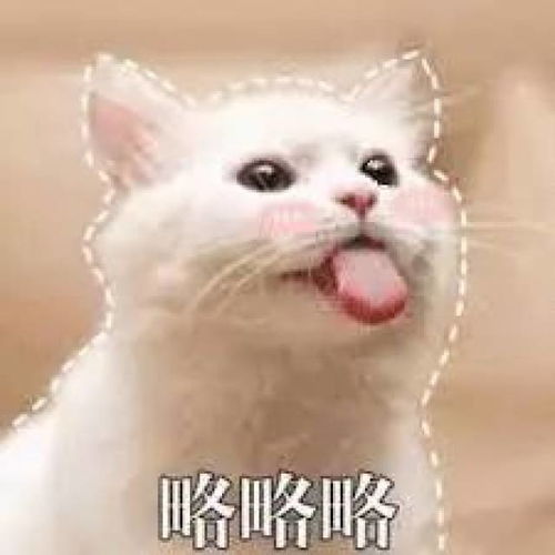 搞笑动物头像逗比导师