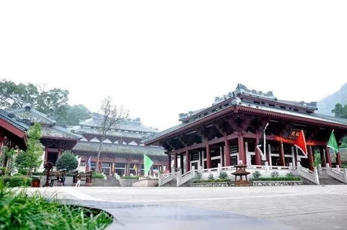 道家风景头像中药养生