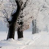  微信头像雪花景