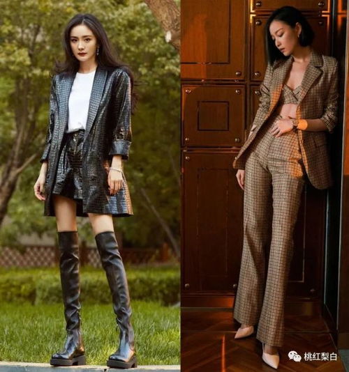  刘诗诗,行走的西装种草机