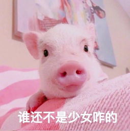  每月1400元就能在上海过肥宅快乐生活那叫活着