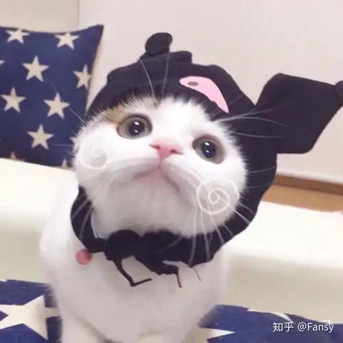 求猫和兔子的情侣头像 求猫和兔子的情侣头像