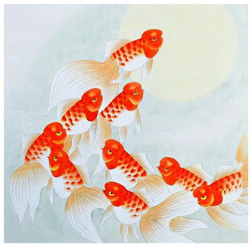  未来半月,这4属相运势提升,生活充实,有望收获爱情