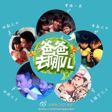  爸爸去哪儿2热门轮换候选人登场彬彬小儿子萌萌彬把何炅当宠物喂