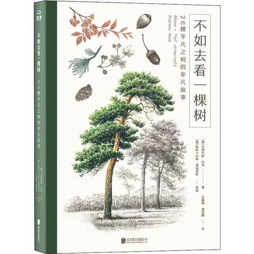  不如去看一棵树26棵平凡之树的非凡故事