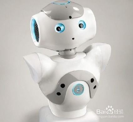  如何安全的使用nao机器人