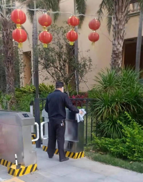  佛奥湾2021年一月份第四周工作简报2021年第5篇