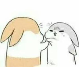 萌兔头像qq表情包