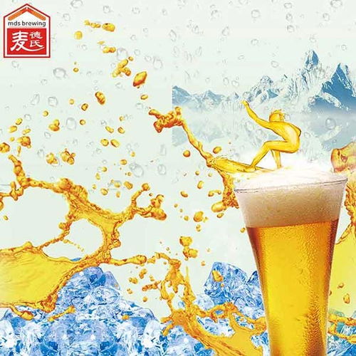  红河县麦德氏啤酒自酿机优质服务
