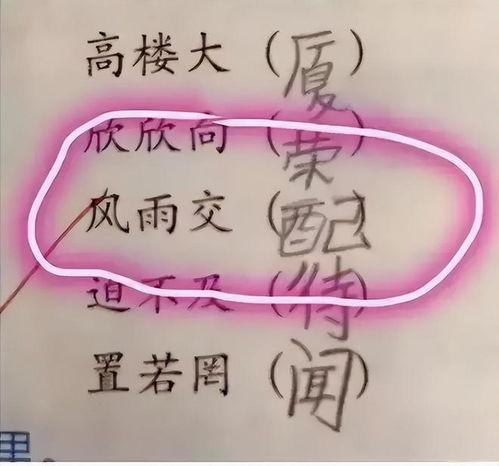  世界上最长的路是什么路学生用两字真诚作答,赢得老师肯定
