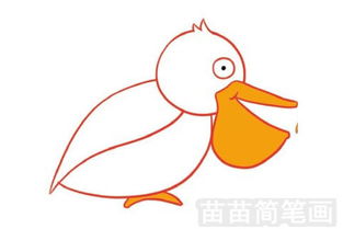  鹈鹕简笔画图片大全画法