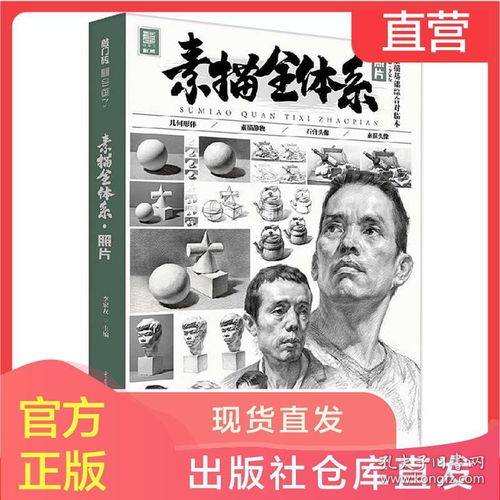  素描全体系照片素描基础综合对临本2020敲门砖李家友几何石膏头像