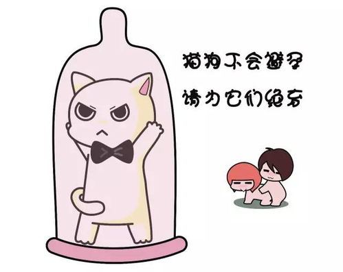  live丨真的要给狗子残忍的做绝育吗这里告诉你