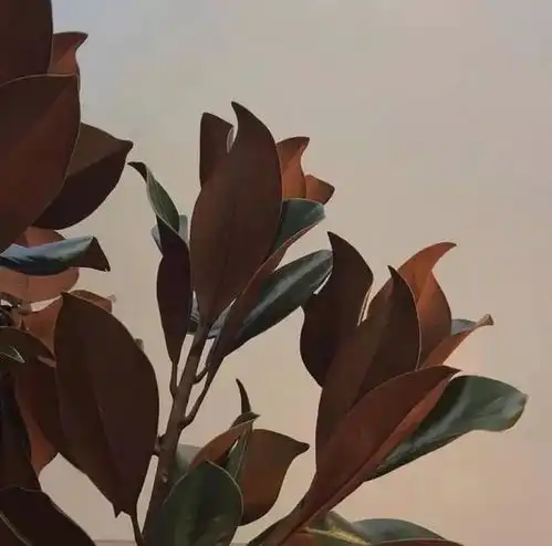  情感文案世间八苦,除了生老病死,其他都是自寻苦楚