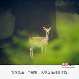 文字控情话伤感短句文字句子堆糖,美好生活研究所