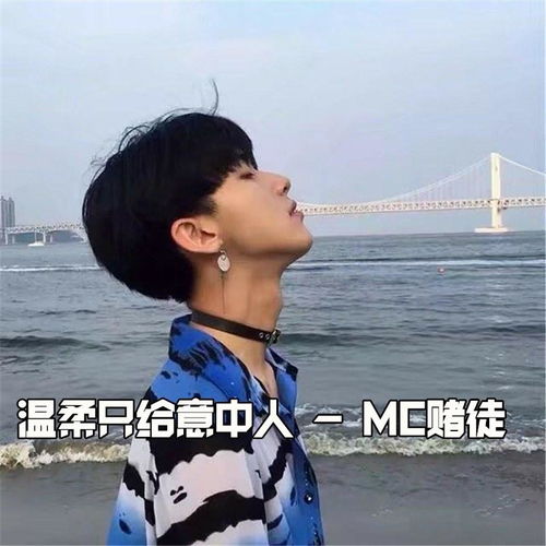  温柔只给意中人赌徒高音质在线试听温柔只给意中人歌词歌曲下载酷狗音乐