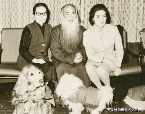  张大千教学生徐雯波学画,6年后娶她,送她一幅画卖了4377万