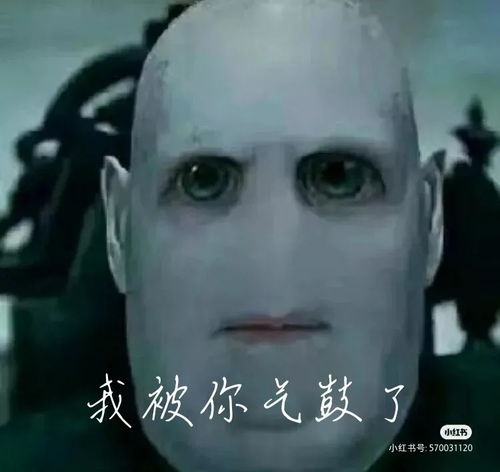 有没有关于伏地魔的沙雕图适合做头像的那种能去水印就更好啦 有没有关于伏地魔的沙雕图适合做头像的那种能去水印就更好啦