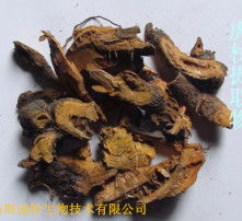  黄页88高清图片