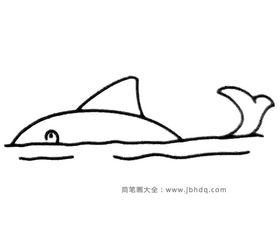  一组卡通鲨鱼简笔画图片