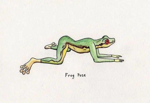 动物头像大全简笔画瑜伽