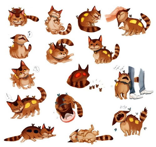  好多猫咪