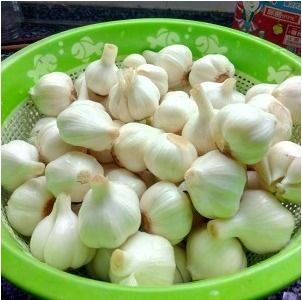  糖醋蒜要放水吗腌制糖蒜要不要加水