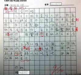  美国学生汉语情书语言直白超搞笑
