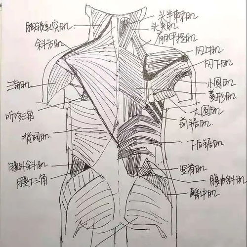  前方高能学霸的笔记原来长这样