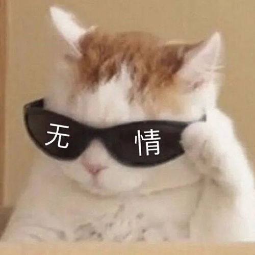  你在社交app里动过真感情吗
