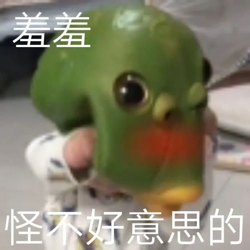 绿头鱼头像高清沙雕