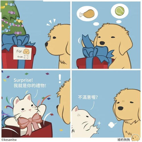  漫画版猫猫狗狗的日常,是怎么做到每一张都又萌又有梗的