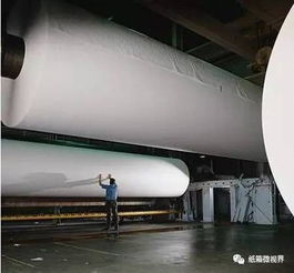  美国智能回收纸箱机器人,能识别超过150种不同的纸箱