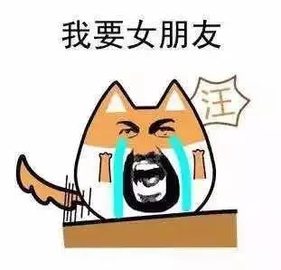  都说吊车美呀,我却无所谓,我为吊车流过太多的泪......
