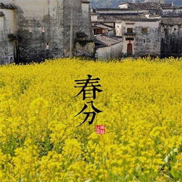  春分好看的风景图片大全带字2019春分唯美图片高清无水印