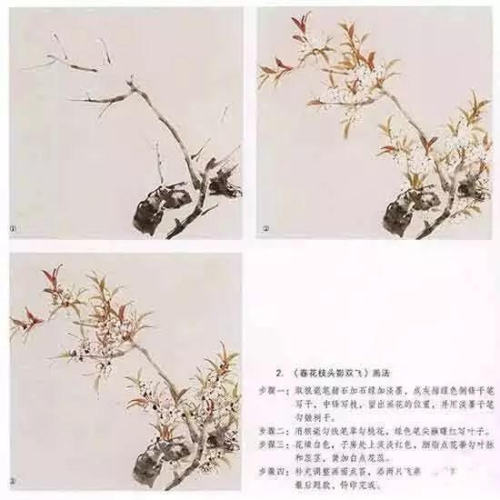  国画教程写意桃花画法