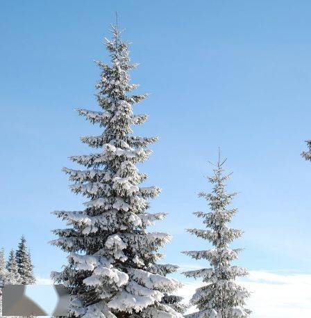  杨凌绝美雪景大片,爱了爱了