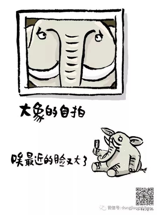  动物们的自拍,这画风,相当不忍直视