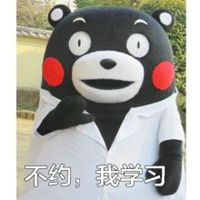 熊本熊头像不带字单身