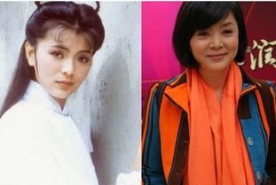  娱乐圈10大女同性恋女星有哪些