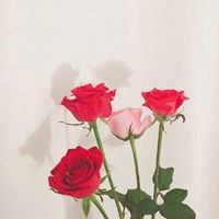  微信头像有代表意义的图片微信头像图片大全