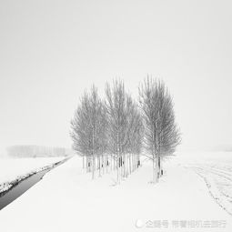  他拍的雪景照,让人心旷神怡