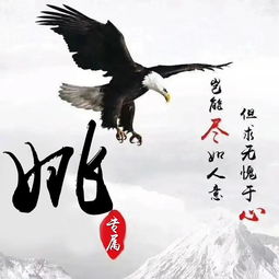  雄鹰展翅,12张霸气姓氏头像,简约中国风