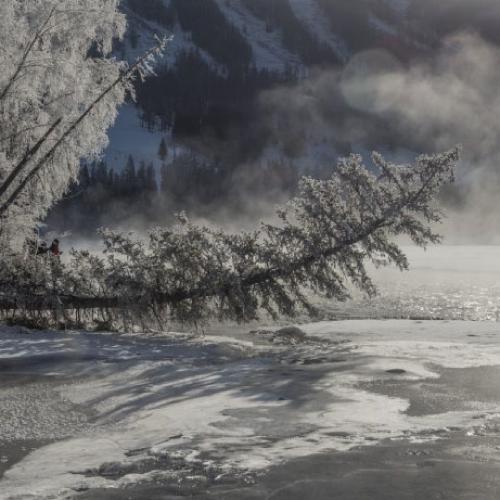 雪景头像高清多姿