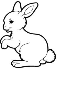  100种动物简笔画画法,拿去临摹