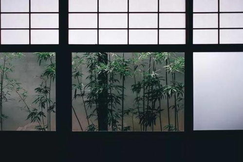  最美禅语诗,禅心古韵