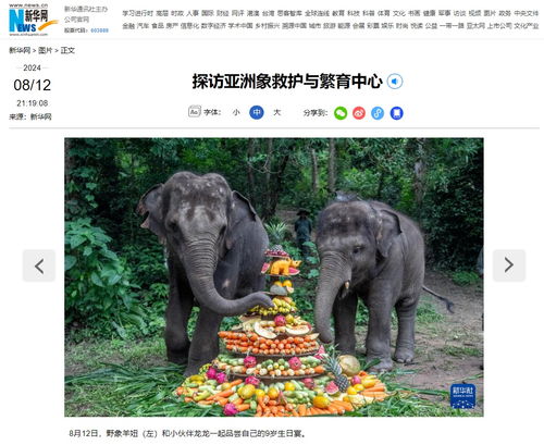  央媒聚焦亚洲象又刷屏啦